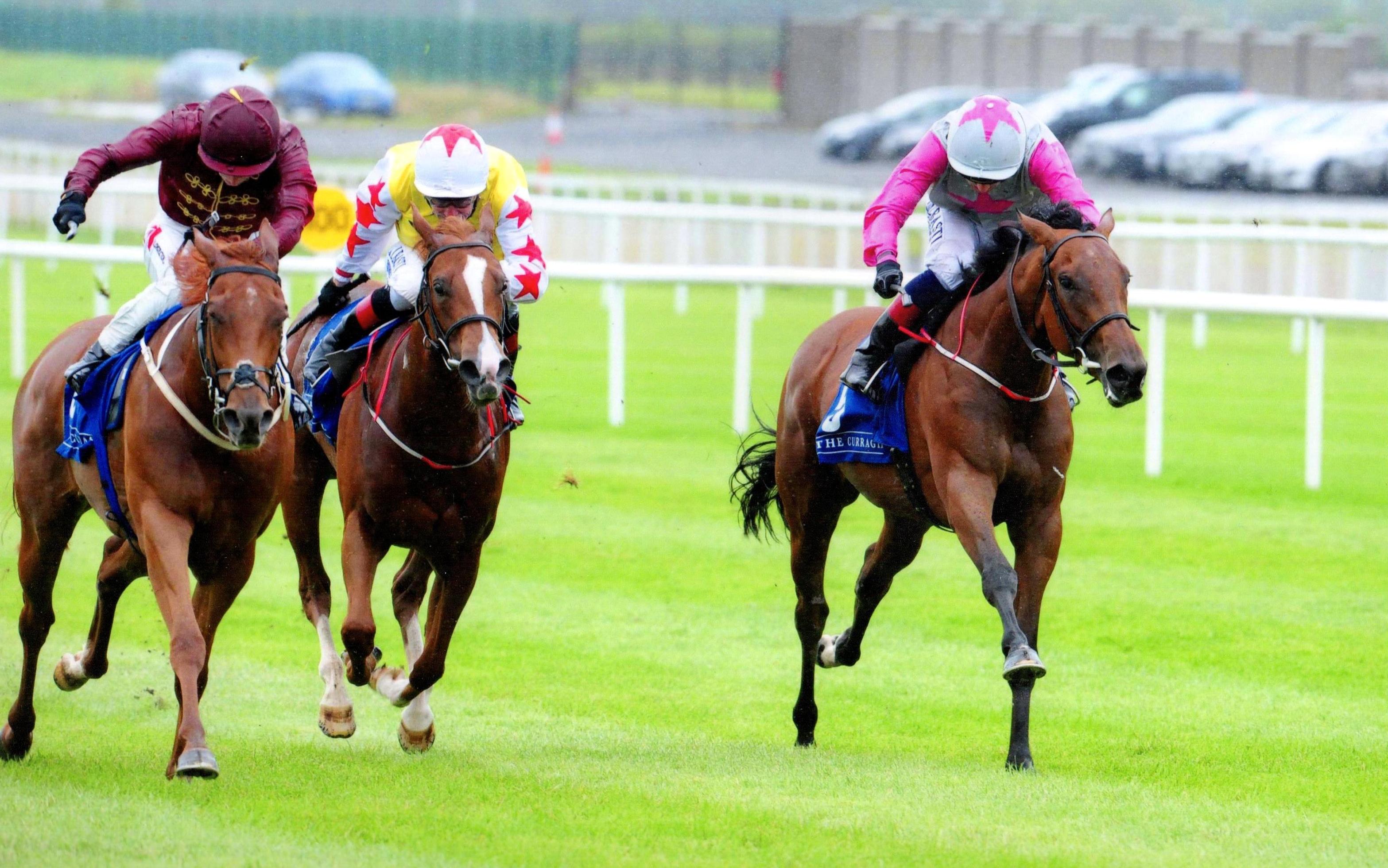 TREASURING lands valuable blacktype at The Curragh 20th August 2017